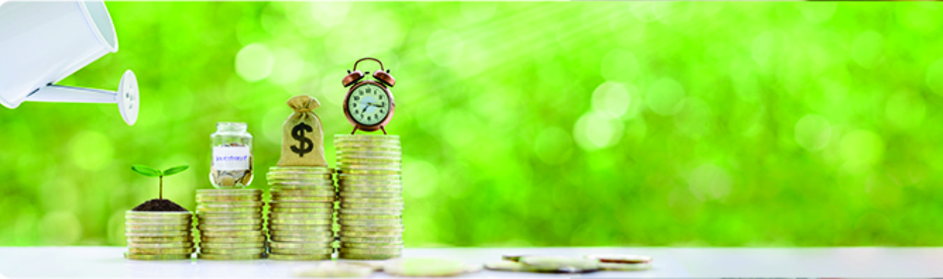 money growing with time