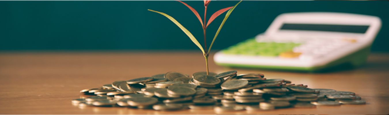 Money growth on a table with calculator